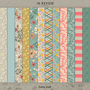 In Review Paper Pack by FeiFei Stuff