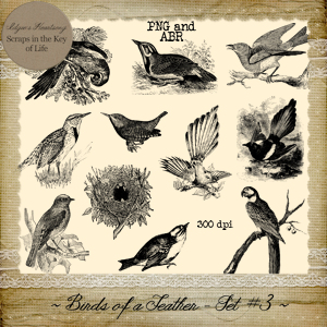 Birds of a Feather - Set 3 by Idgie's Heartsong