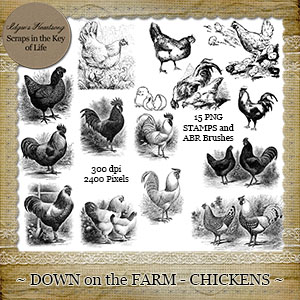 Down On The Farm - CHICKENS - 15 PNG Stamps and ABR Brushes by Idgie's Heartsong