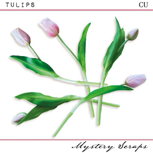 CU Tulips by Mystery Scraps