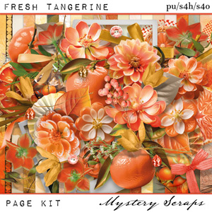 Fresh Tangerine Pagekit by Mystery Scraps