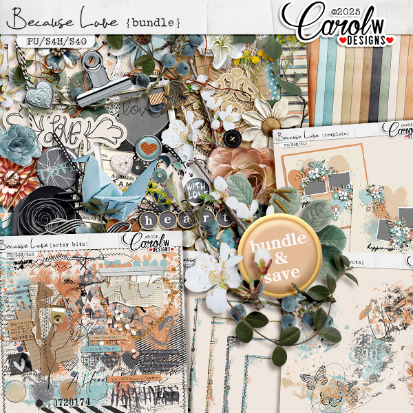 Because Love-Bundle