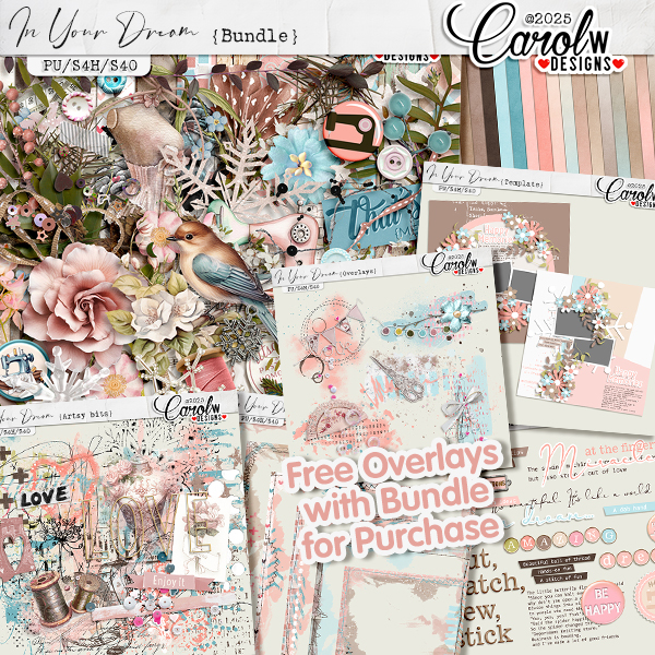 In Your Dream-Bundle+Free Overlay