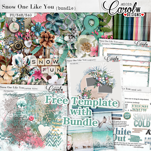 Snow One Like You-Bundle