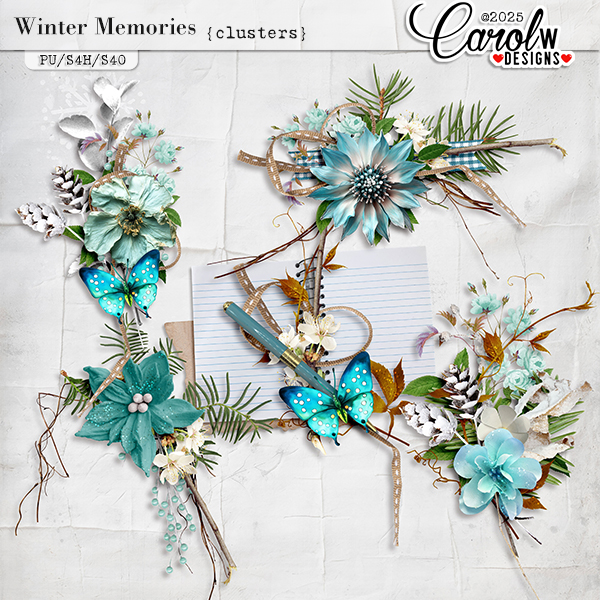 Winter Memories-Clusters