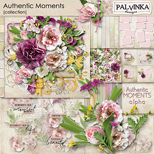 Authentic Moments Collection