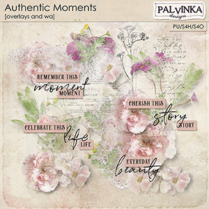Authentic Moments Overlays and WA