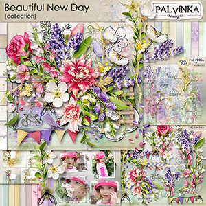 Beautiful New Day Collection & QuickPage