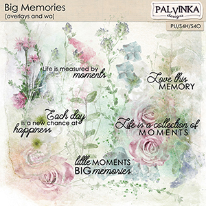 Big Memories Overlays and WA