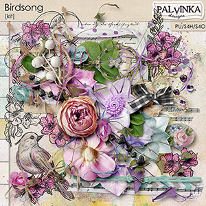 Birdsong Kit