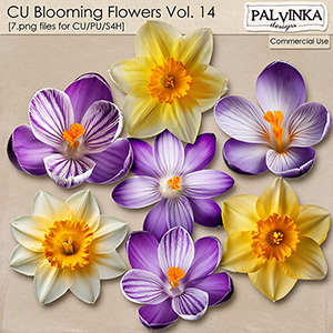 CU Blooming Flowers 14