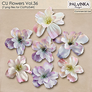 CU Flowers 36