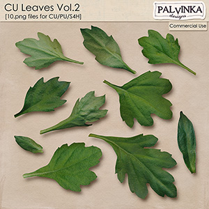 CU Leaves Vol.2 