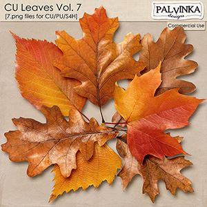 CU Leaves 7