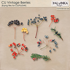 CU Vintage Berries