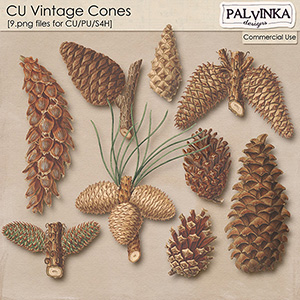 CU Vintage Cones