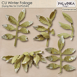 CU Winter Foliage