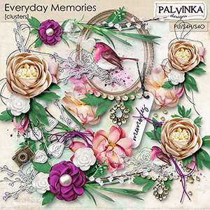 Everyday Memories Clusters