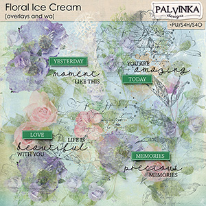 Floral Ice Cream Overlays and WA
