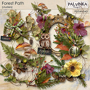 Forest Path Clusters