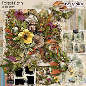 Forest Path Collection