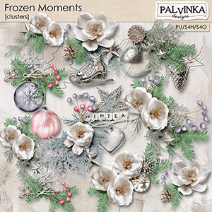 Frozen Moments Clusters