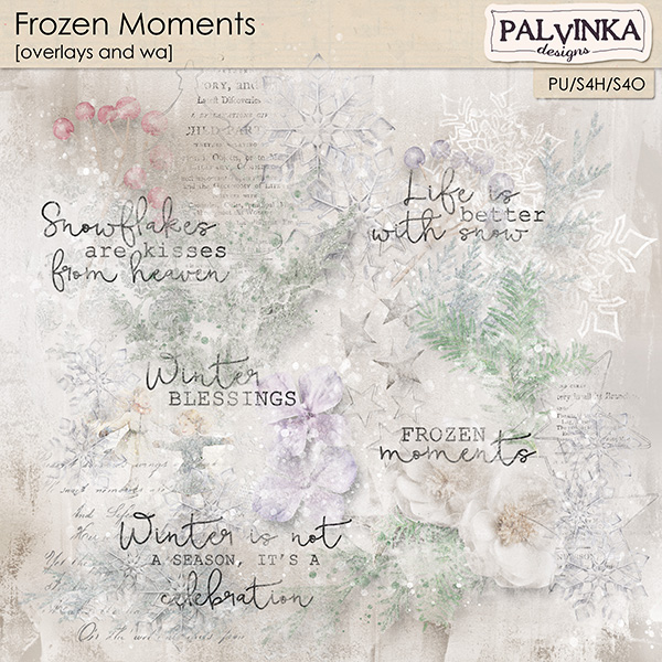 Frozen Moments Overlays and WA