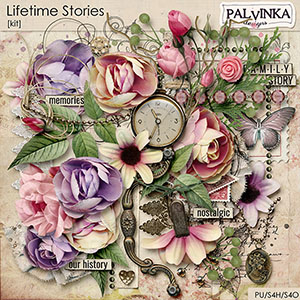 Lifetime Stories Kit