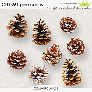 CU 0261 PINE CONES