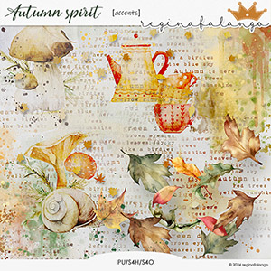 AUTUMN SPIRIT ACCENTS