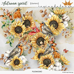 AUTUMN SPIRIT CLUSTERS