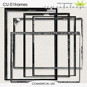 CU 01 FRAMES