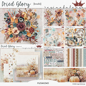 DRIED GLORY BUNDLE