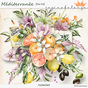 MEDITERRANEE THE KIT 