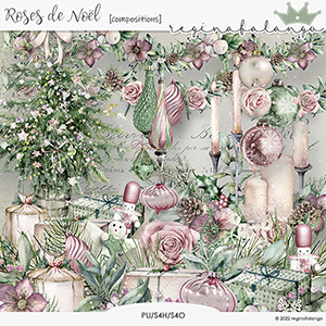 ROSES DE NOEL COMPOSITIONS