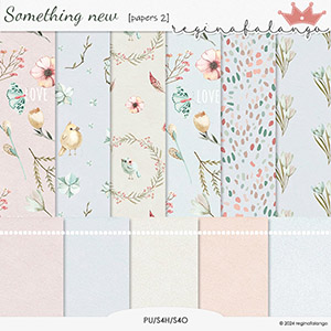 SOMETHING NEW PAPERS 2