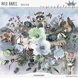 WILD BABIES THE KIT