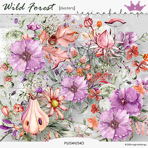 WILD FOREST CLUSTERS