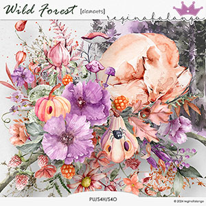 WILD FOREST ELEMENTS