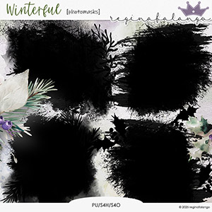 WINTERFUL PHOTO MASKS