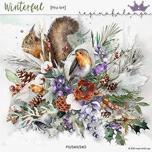 WINTERFUL THE KIT