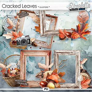 Cracked Leaves (clusters) by Simplette