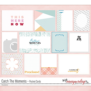 Catch The Moments Pocket Cards by ninigoesdigi