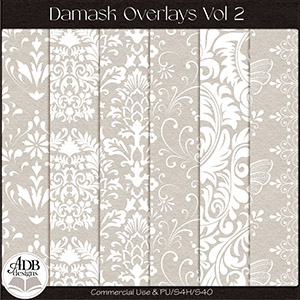 Damask Overlays Vol 02 by ADB Designs CU/PU