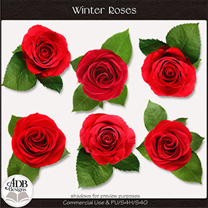 Winter Roses by ADB Designs CU/PU