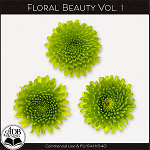 Floral Beauty Vol 01 by ADB Designs CU/PU