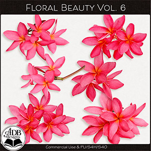 Floral Beauty Vol 06 ADB Designs CU/PU