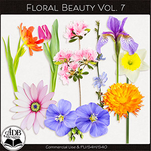 Floral Beauty Vol 07 ADB Designs CU/PU