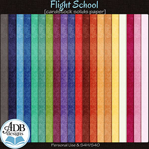 Flight School Solid Papers by ADB Designs