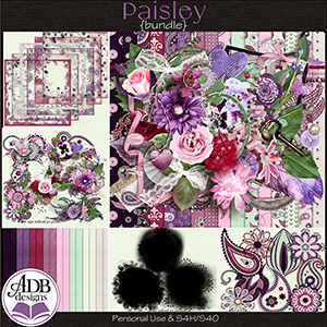 Paisley Bundle by ADB Designs